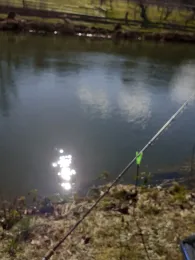 Mühlwiesenteiche (Schotten)