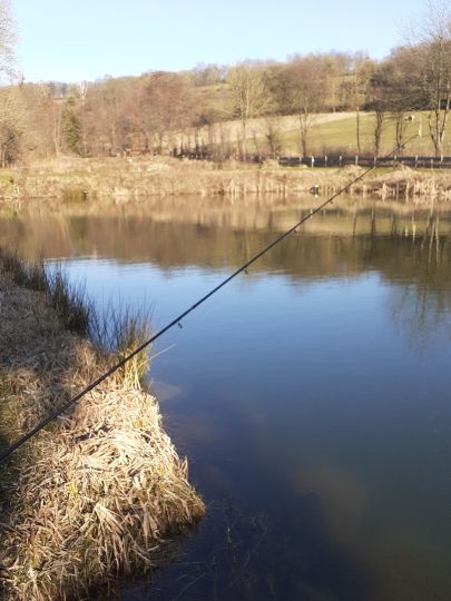 Mühlwiesenteiche (Schotten)-1