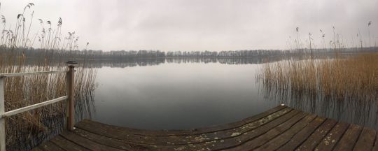 Klostersee (Altfriedland)-3