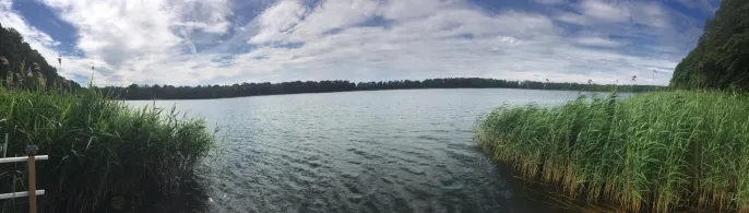 Klostersee (Altfriedland)-2