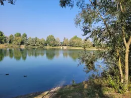 Silver Lake (Zinasco)-2