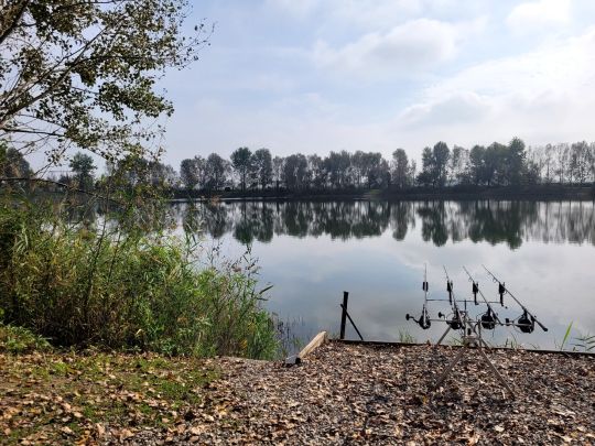 Silver Lake (Zinasco)