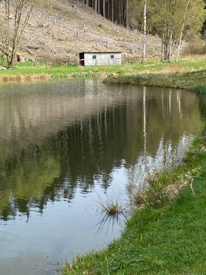 Vereinsteich Meuselbach-2