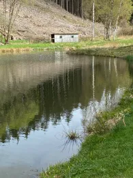 Vereinsteich Meuselbach-2