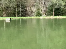 Vereinsteich Meuselbach-3