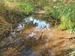 Moorbach (Witzelroda)-1