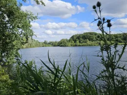 Kleiner De-Witt-See-1