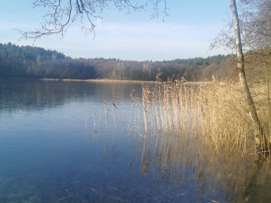 Tiefer See (Lychen)-2