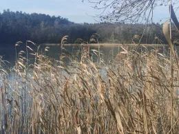 Tiefer See (Lychen)-1