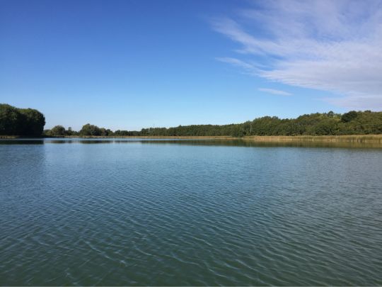 Bückwitzsee angeln