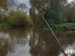 Leine (Gronau/Leine)-1