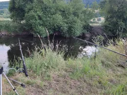 Leine (Gronau/Leine)-4