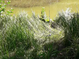 Goldberger See (Goldberg)