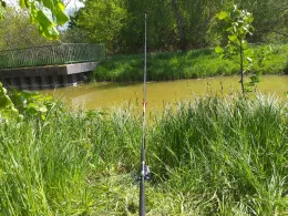 Goldberger See (Goldberg)-3