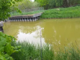 Goldberger See (Goldberg)-4