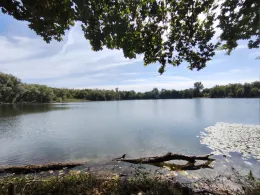 Richrather See (Baggersee Frisch)-3