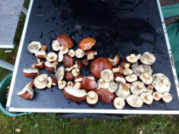 Großer Roßkardtsee