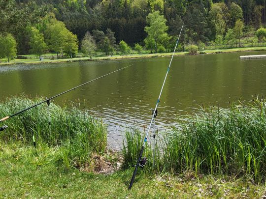 Trebgastsee-3