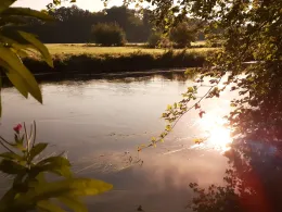 Ilmenau (Bienenbüttel)-3