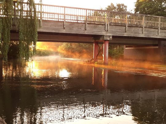 Ilmenau (Bienenbüttel)-2