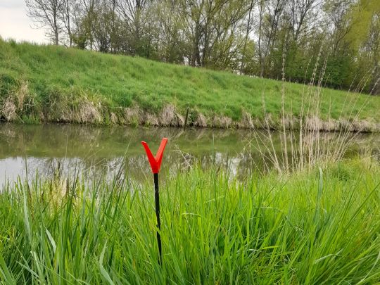 Aller (Oebisfelde)