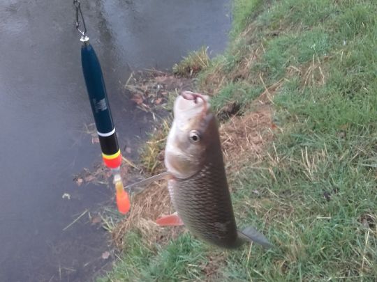 Aller (Oebisfelde)-1