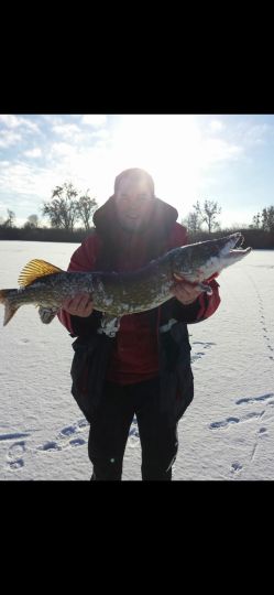 Claassee (Rechlin)-1