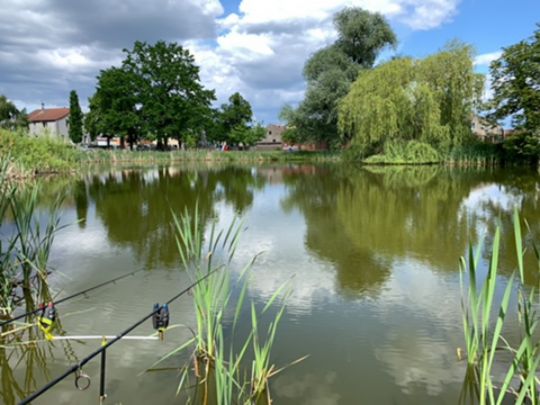 Dorfteich Lindenberg-2