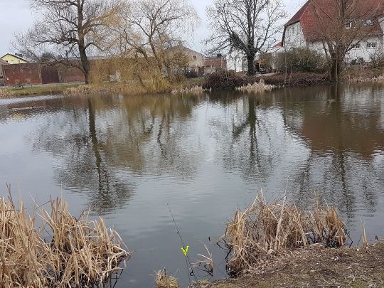 Dorfteich Lindenberg-4