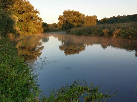 Ems (Raestrup-Sonnenwiese)-2