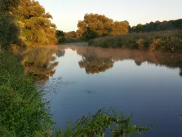 Ems (Raestrup-Sonnenwiese)-2