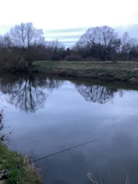 Ems (Raestrup-Sonnenwiese)