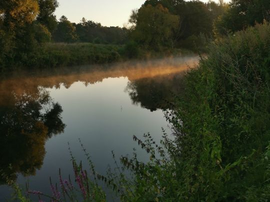 Ems (Raestrup-Sonnenwiese)-3