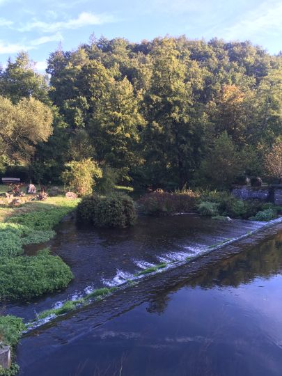 Schwarze Laber (Wollmannsdorf)-1