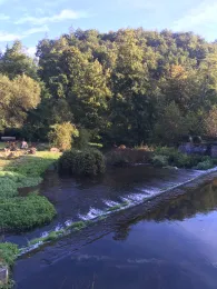 Schwarze Laber (Wollmannsdorf)-1