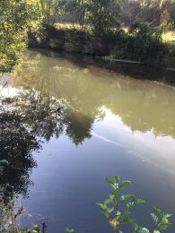 Schwarze Laber (Wollmannsdorf)-4