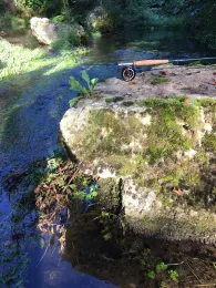 Schwarze Laber (Wollmannsdorf)