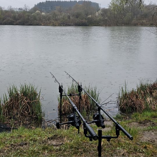 Gaugersee (Trossingen)
