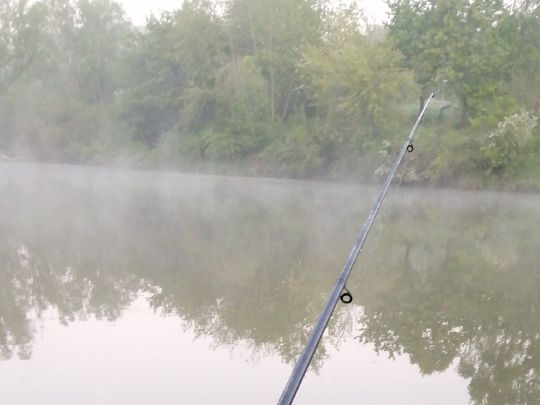 Gaugersee (Trossingen)-4