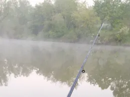 Gaugersee (Trossingen)-4