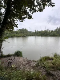 Gaugersee (Trossingen)-2