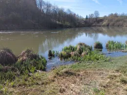 Gaugersee (Trossingen)-4