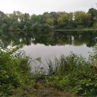 Kiessee Bocksberg (Sarstedt)