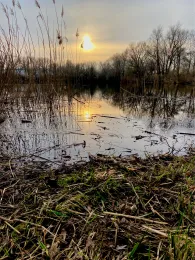 Kiessee Bocksberg (Sarstedt)-2