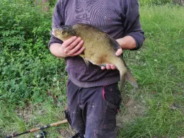 Kiessee Bocksberg (Sarstedt)-1