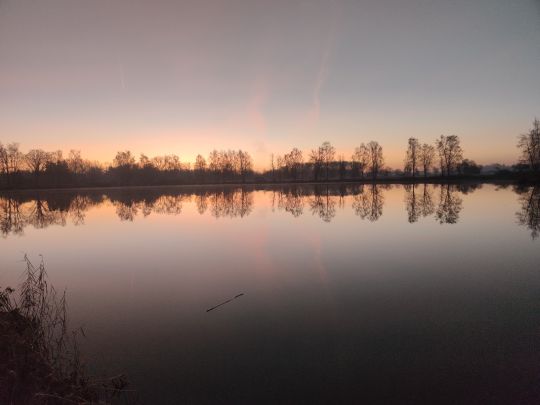 Burgauer See (FV Esslingen)-1
