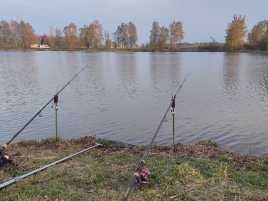 Burgauer See (FV Esslingen)-4