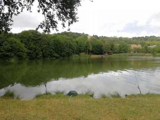 Rubenheimer Weiher