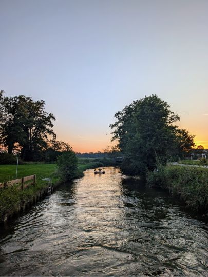 Sims (Stephanskirchen)-1