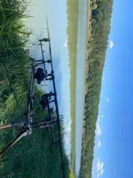 Étang de Diebling-1